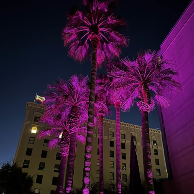 Our app-controlled color-changing lights can be turned pink or any other color from an app on your p Photo